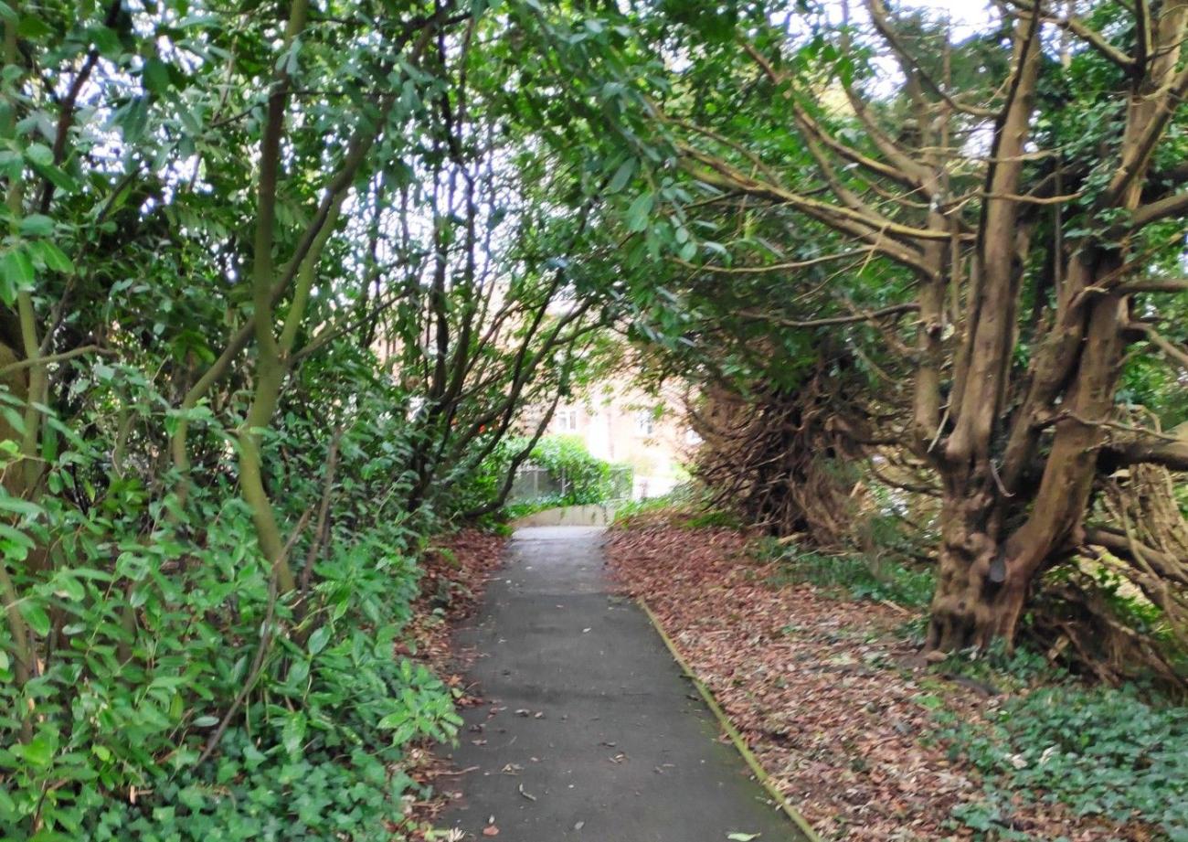 Path from Shell garage to Montgomery Gardens