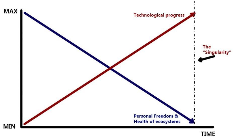 The singularity