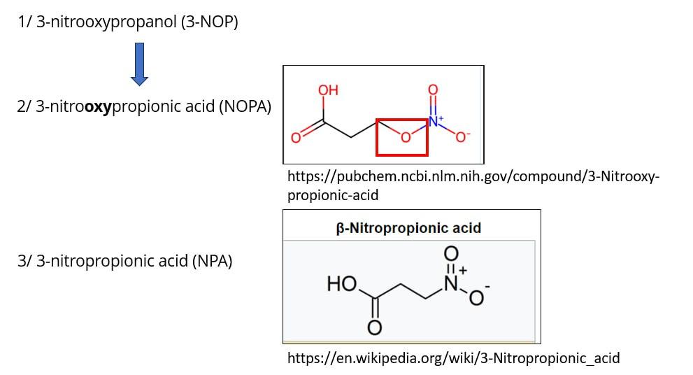NOPA