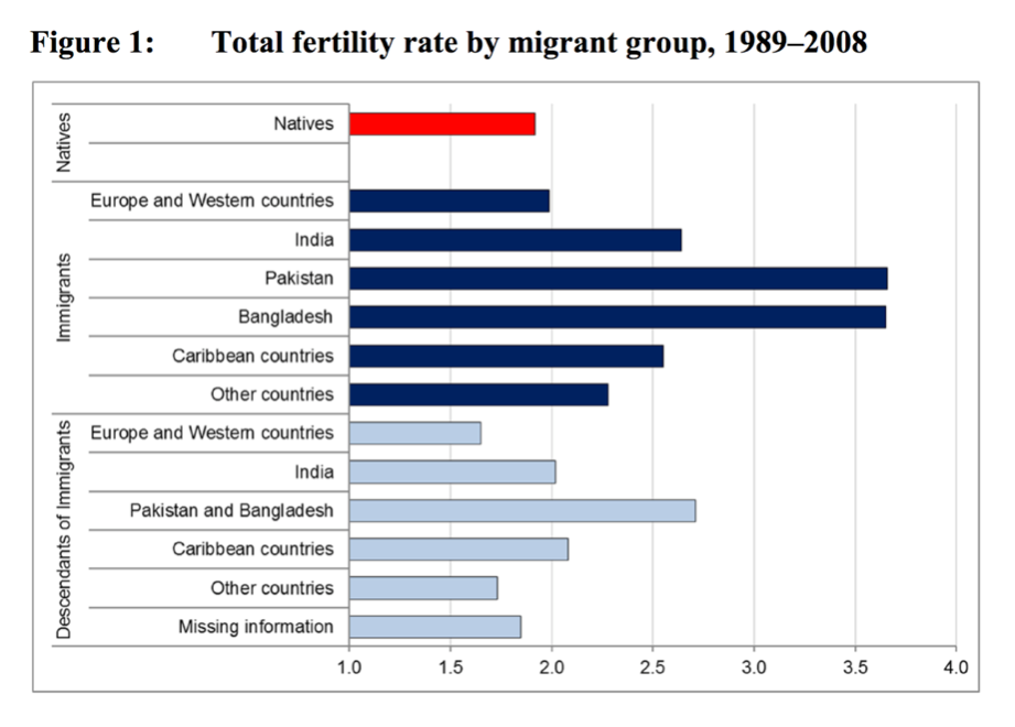 Total fertility rate by migrant group