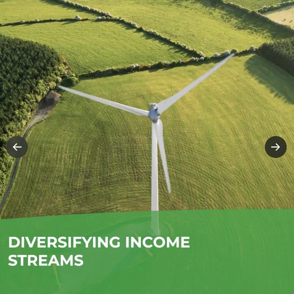 Diversifying income streams