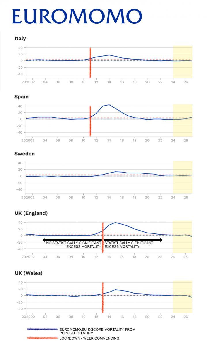 Euromomo graphs
